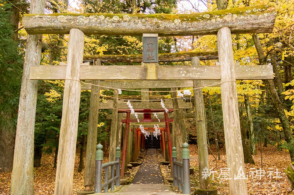 金運神社 新屋山神社境内 富士吉田